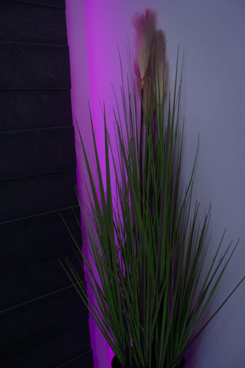 Apartman Mihovil Gospic Exterior photo